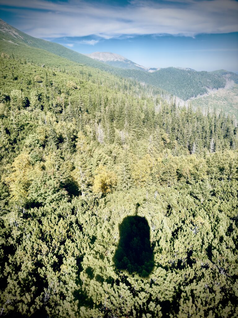 Mountain landscape with dense green forest and the shadow of a cable car cast on the treetops
