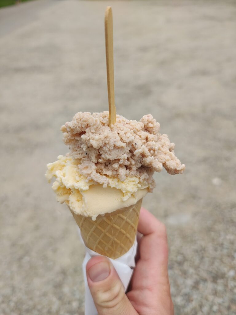 A hand holding an ice cream cone with two scoops – a smooth light-colored scoop at the bottom and a textured, crumbly light brown scoop on top, with a wooden stick inserted vertically.